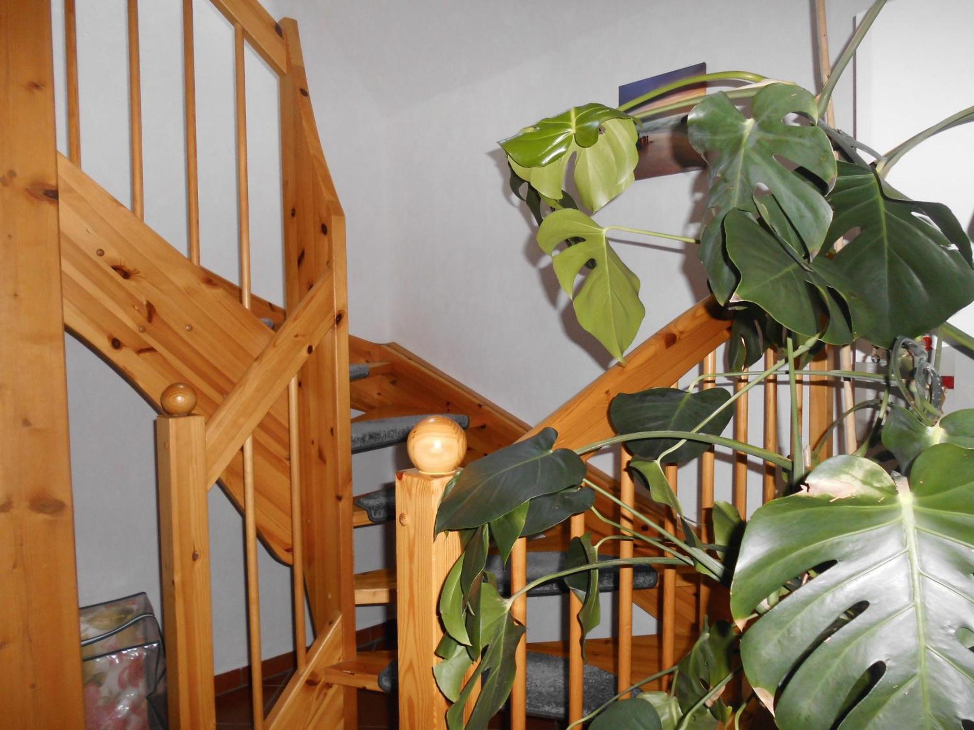 Moewennest Villa Нойхарлингерзийл Екстериор снимка